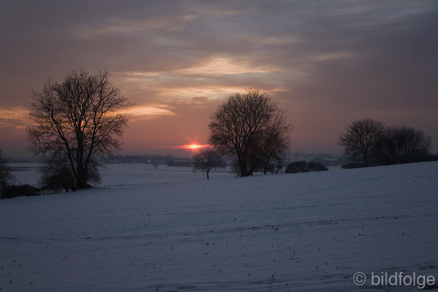 _mg_8275.jpg