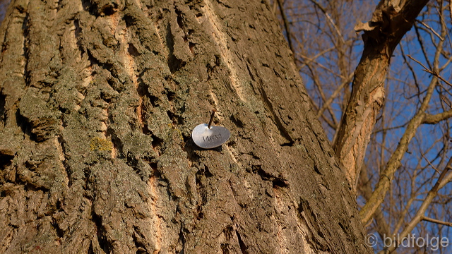 l1000254.jpg