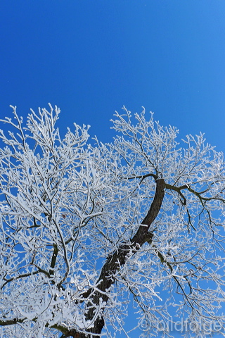 l1000510.jpg