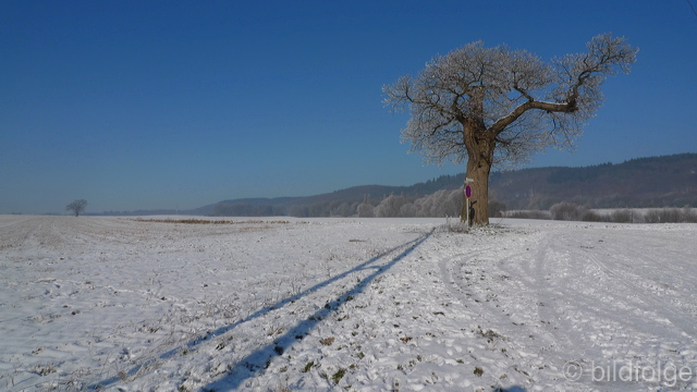 l1000569.jpg
