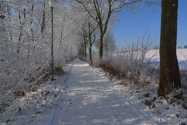 l1000579.jpg