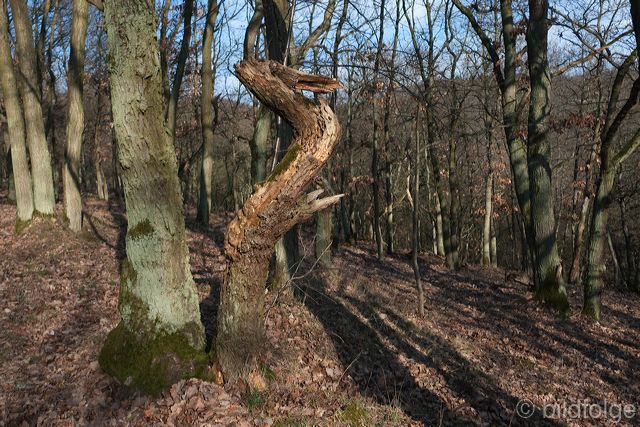 l1020079.jpg