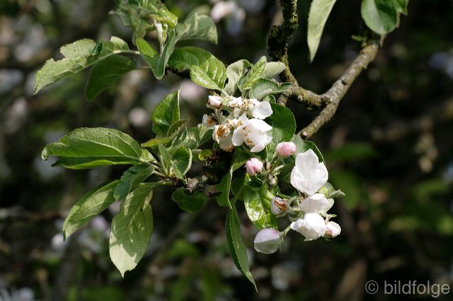 _mg_9763.jpg