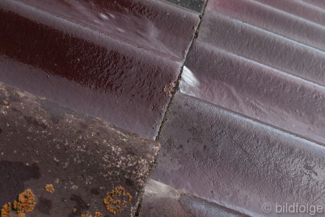 l1040221.jpg