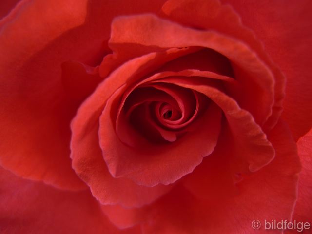 l1040299.jpg