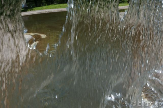 l1050025.jpg