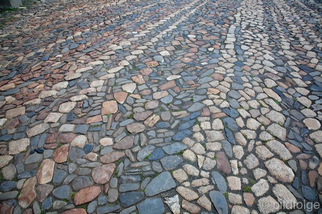 _mg_0895.jpg