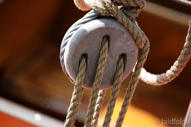 _mg_1196.jpg