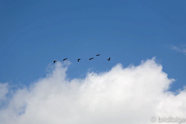 _mg_1229.jpg