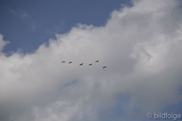 _mg_1230.jpg