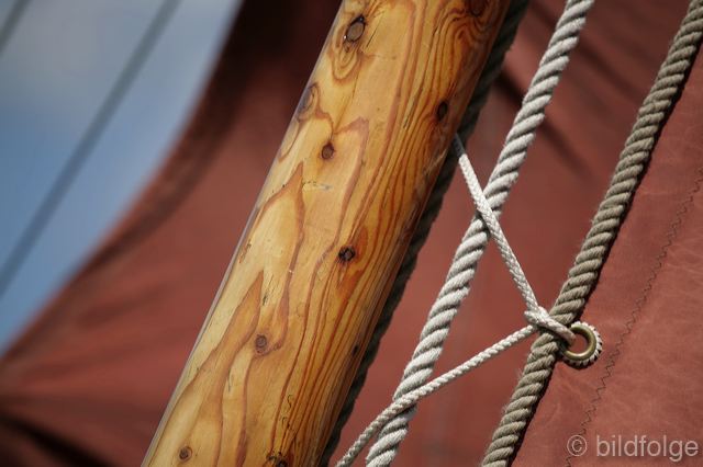 _mg_1259.jpg