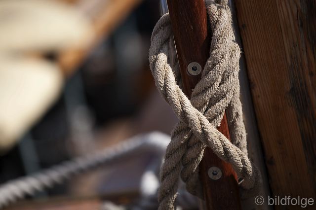 _mg_1288.jpg