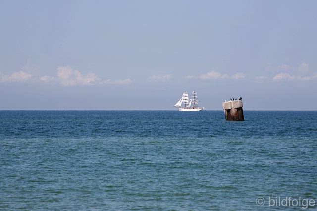 _mg_1294.jpg