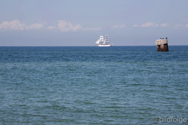_mg_1296.jpg
