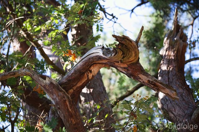 _mg_1329.jpg