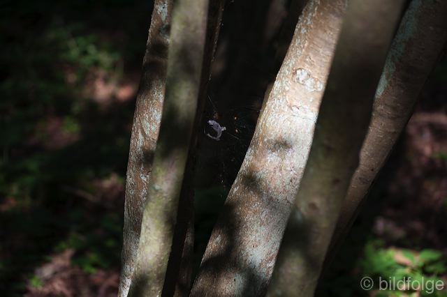 _mg_1335.jpg