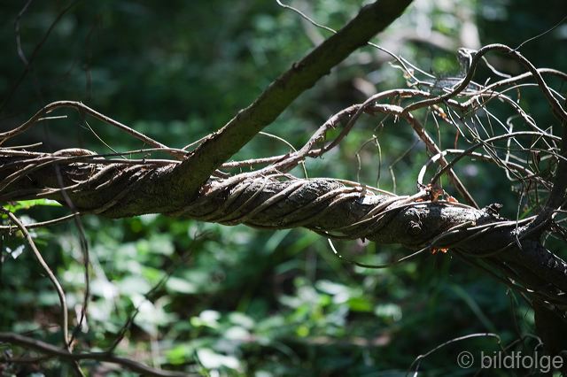 _mg_1336.jpg