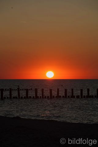 _mg_1375.jpg