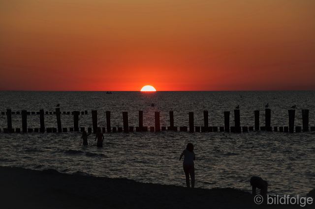 _mg_1386.jpg
