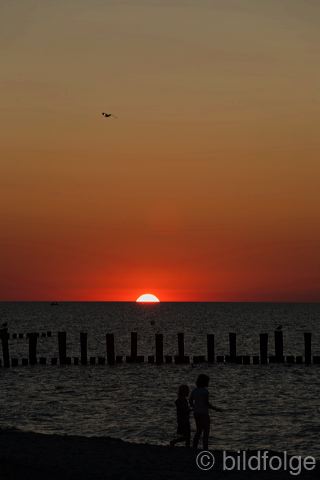 _mg_1387.jpg