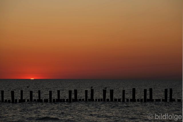 _mg_1390.jpg