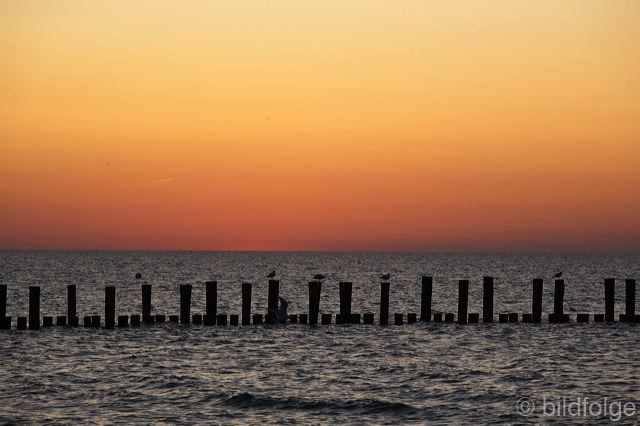 _mg_1393.jpg