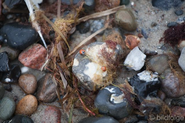 _mg_1421.jpg