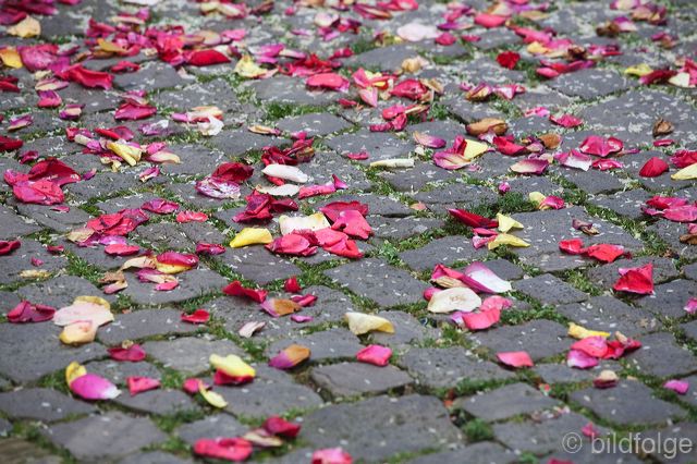 _mg_1493.jpg