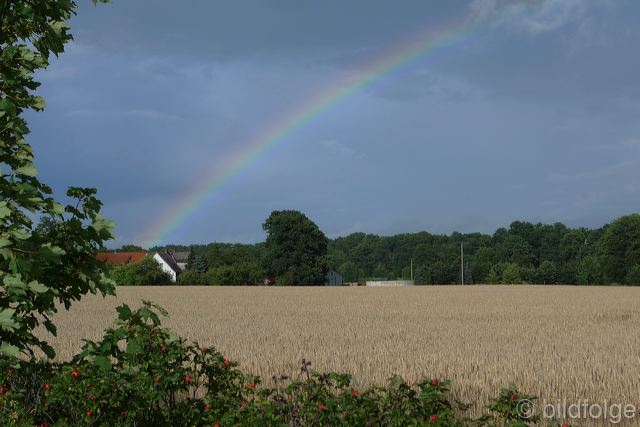 l1050739.jpg