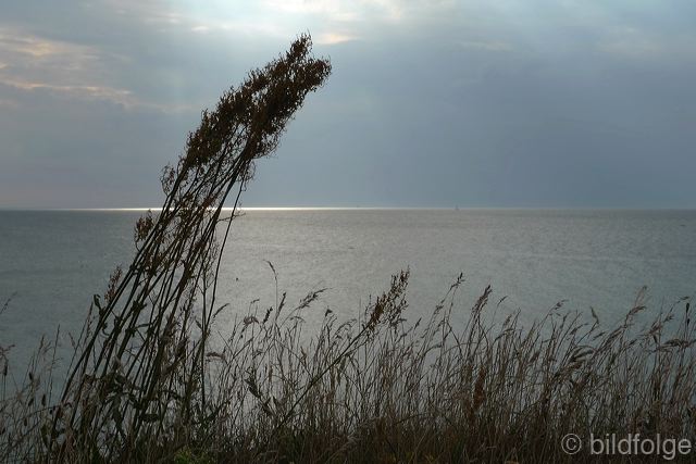 l1050921.jpg