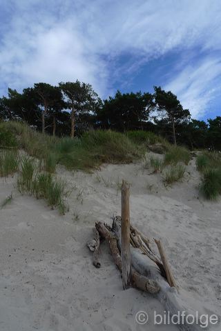l1060101.jpg