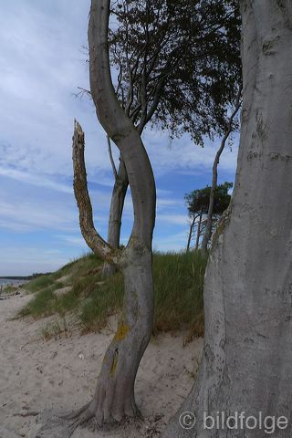 l1060106.jpg