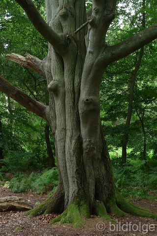 l1060139.jpg