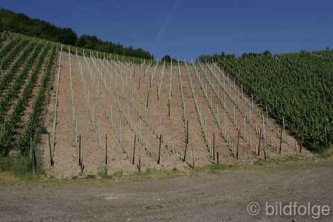 041_dernau.jpg