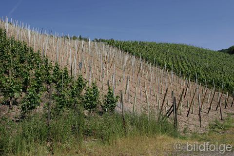 042_dernau.jpg