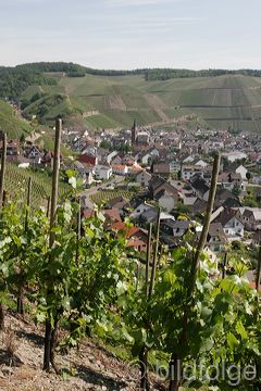 046_dernau.jpg