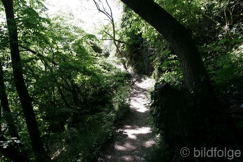 052_dernau.jpg