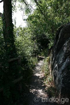 056_dernau.jpg