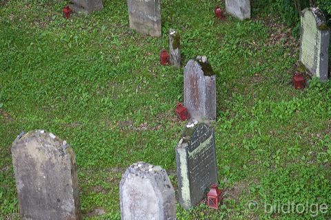 _mg_2188-2.jpg
