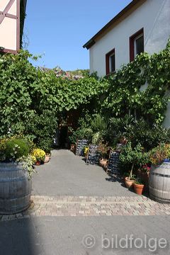 dernau_008.jpg