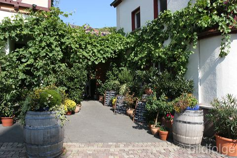 dernau_009.jpg