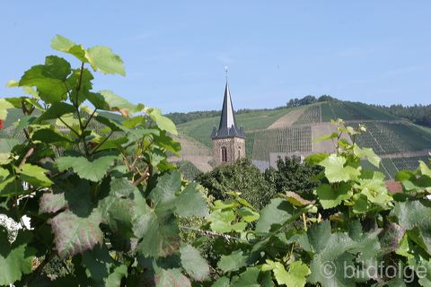 dernau_029.jpg