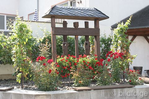 dernau_037.jpg