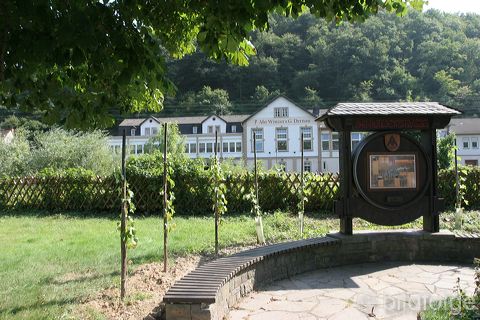 dernau_051.jpg