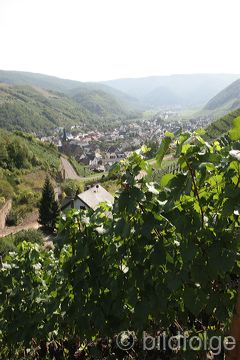 dernau_083.jpg