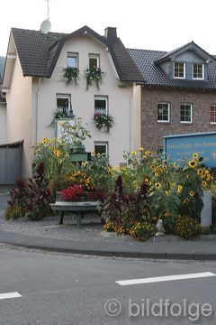 dernau_092.jpg