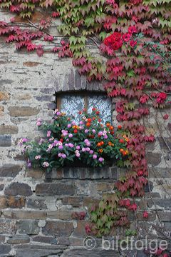 dernau_096.jpg