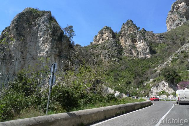 l1020950.jpg