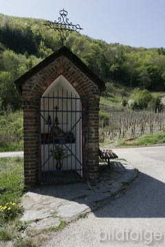 _mg_3685.jpg