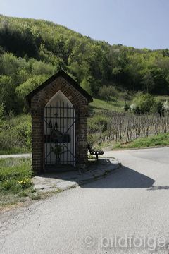 _mg_3687.jpg